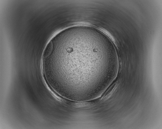 X0000115381391200911101257