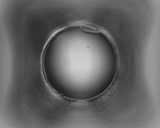 X0000115381392200911101257