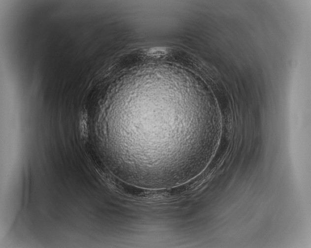 X0000115381394200911101257