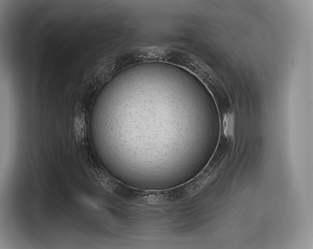 X0000115381395200911101257