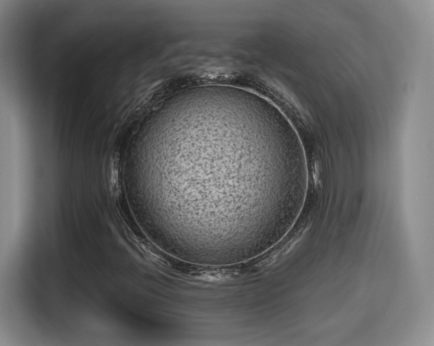 X0000115381396200911101257