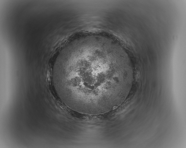 X0000115381397200911101257