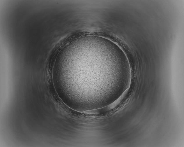 X0000115381398200911101257