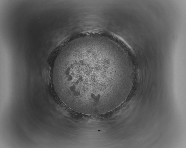 X0000115381399200911101257