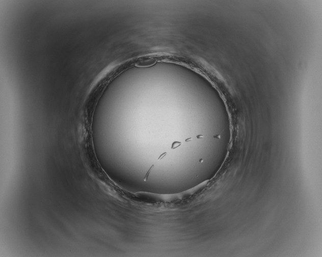 X0000115381400200911101257