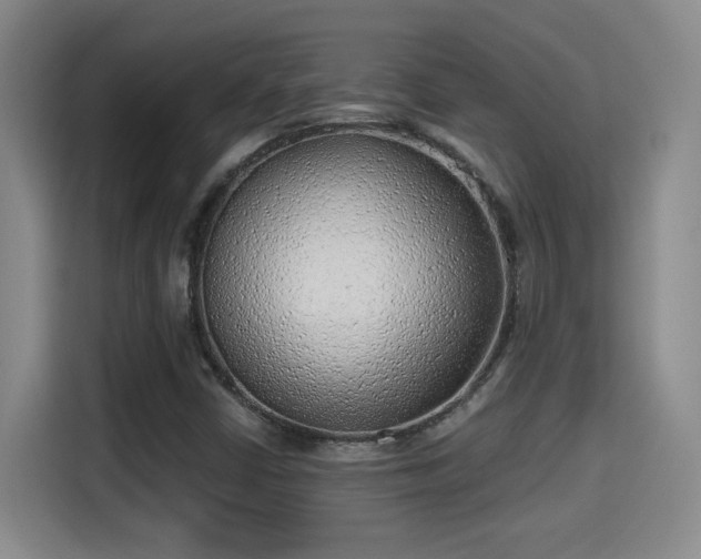 X0000115381402200911101257