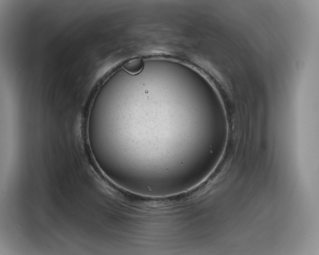 X0000115381404200911101257