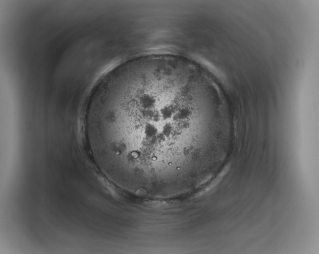 X0000115381405200911101257