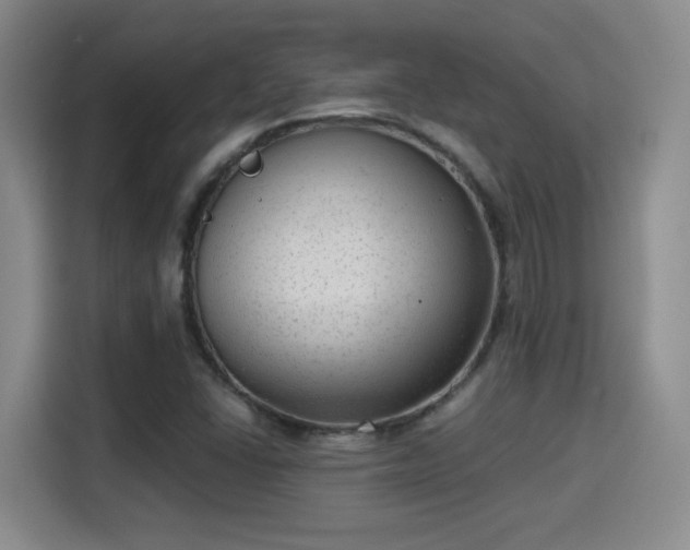 X0000115381406200911101257