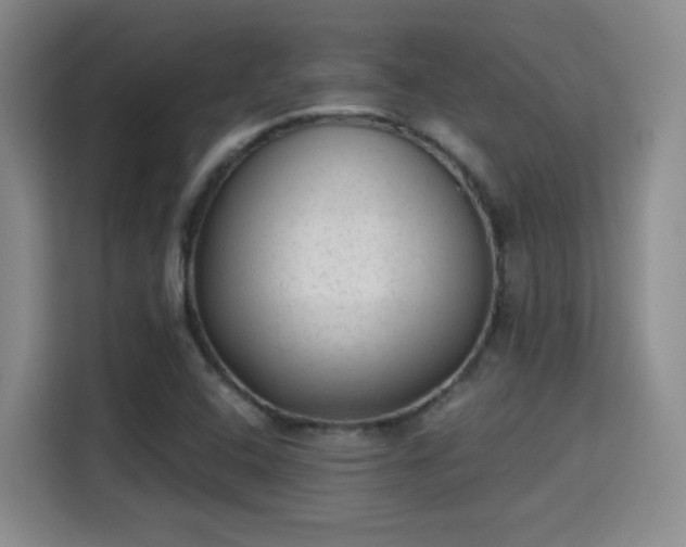 X0000115381408200911101257