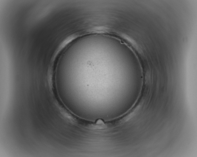 X0000115381410200911101257