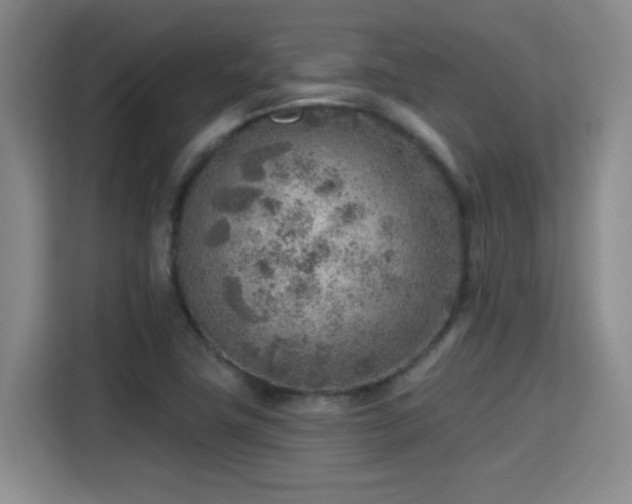 X0000115381411200911101257