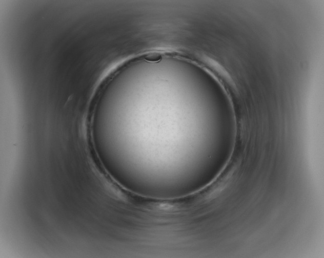 X0000115381412200911101257