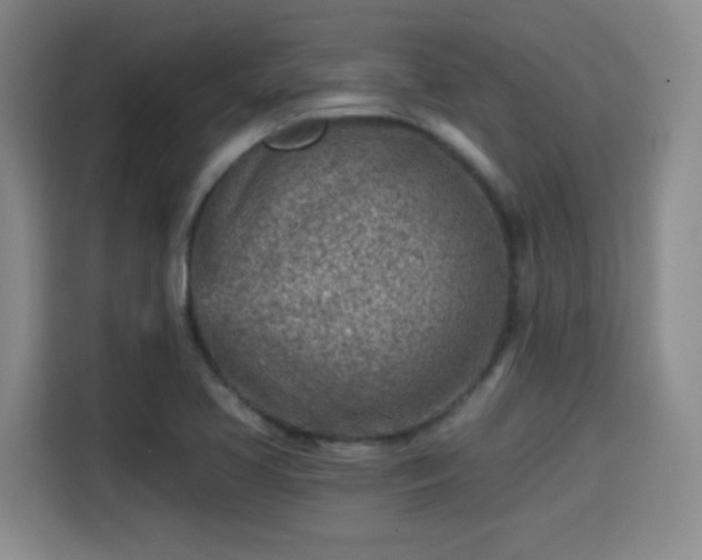 X0000115381413200911101257