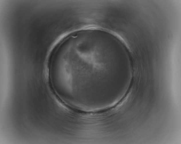 X0000115381414200911101257