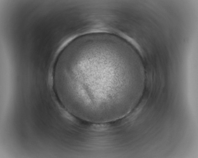 X0000115381415200911101257