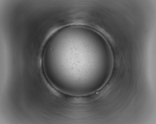 X0000115381416200911101257