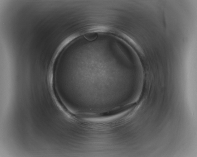 X0000115381418200911101257