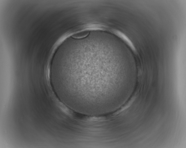 X0000115381419200911101257