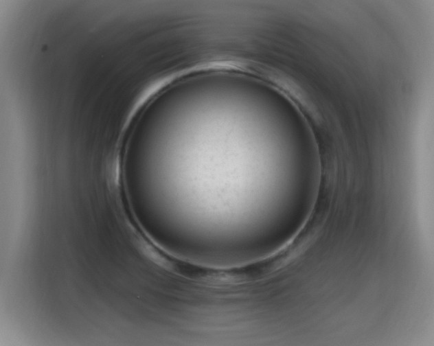 X0000115381420200911101257