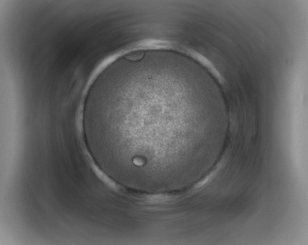X0000115381421200911101257