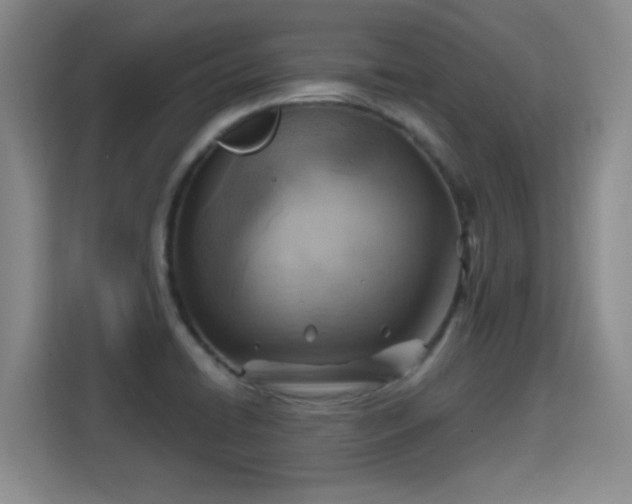 X0000115381422200911101257