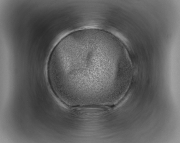 X0000115381423200911101257