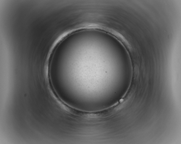 X0000115381424200911101257