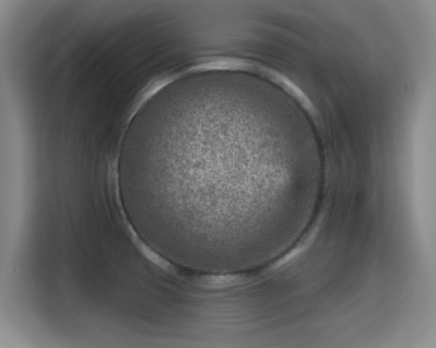 X0000115381425200911101257