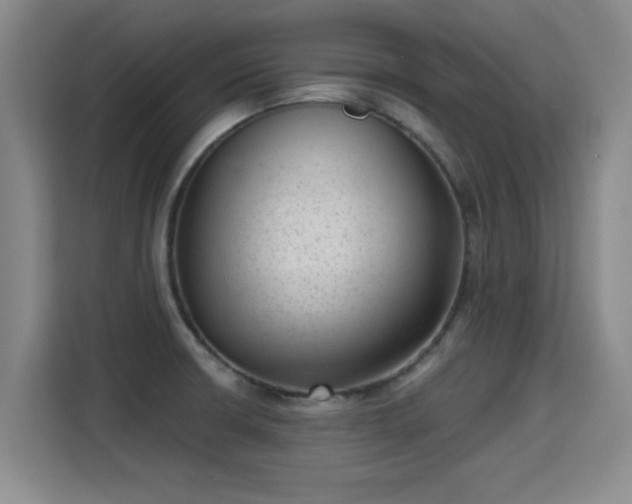 X0000115381426200911101257