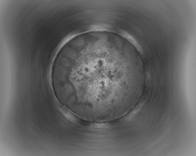 X0000115381427200911101257
