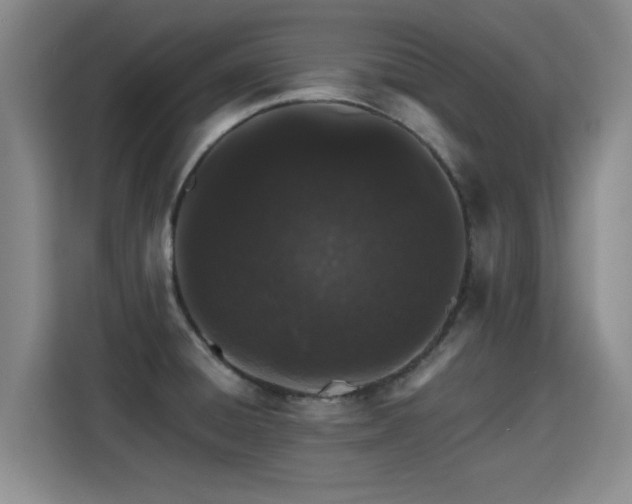 X0000115381428200911101257