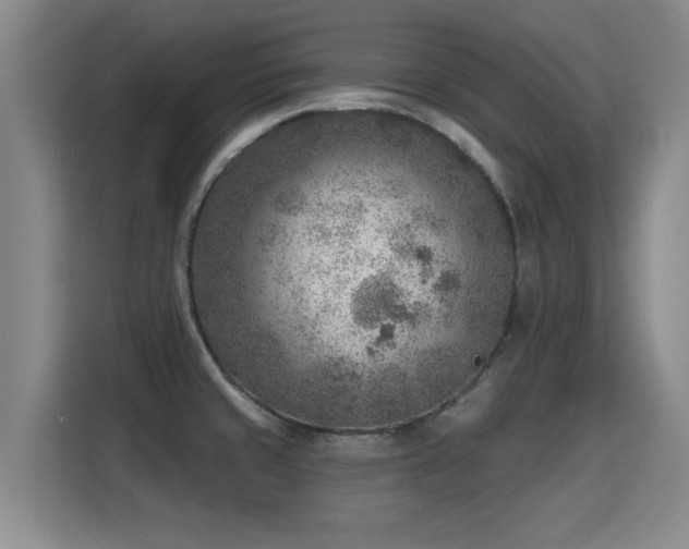 X0000115381429200911101257