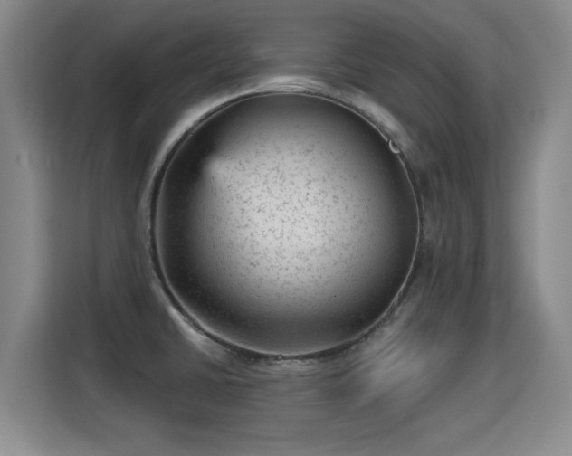 X0000115381430200911101257