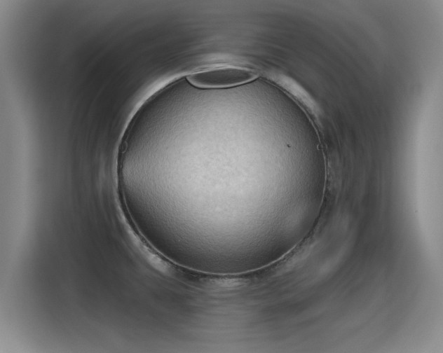 X0000115381431200911101257