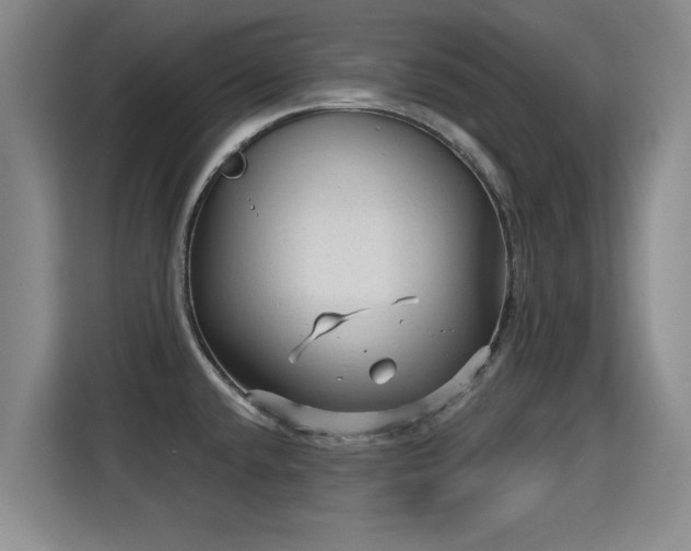 X0000115381432200911101257