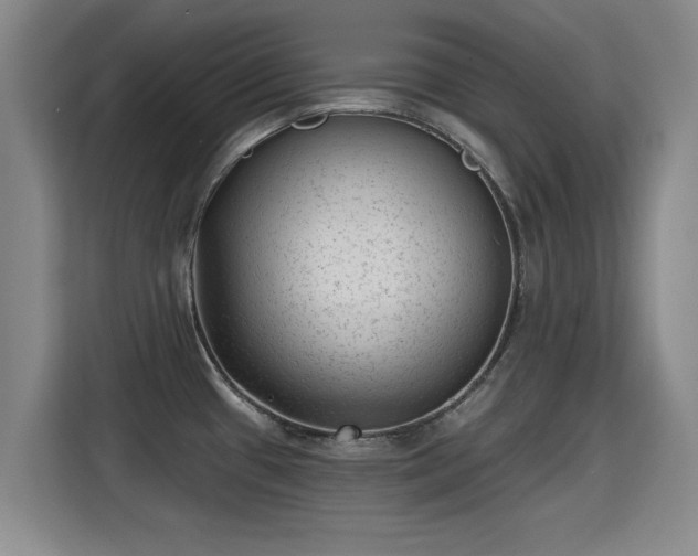 X0000115381433200911101257