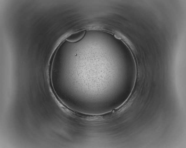 X0000115381434200911101257