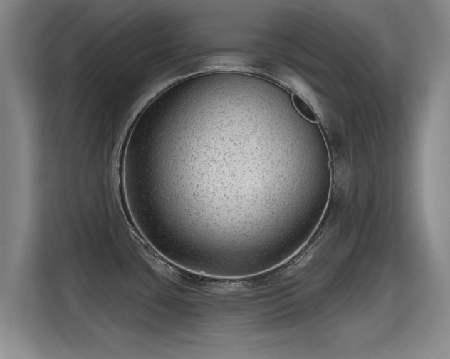 X0000115381435200911101257