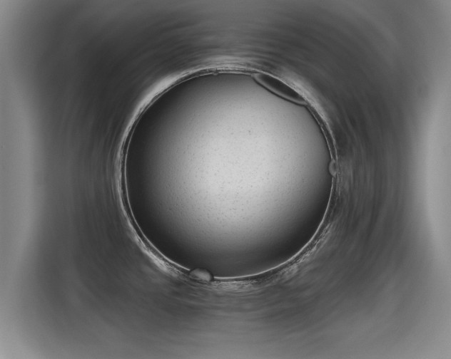 X0000115381437200911101257