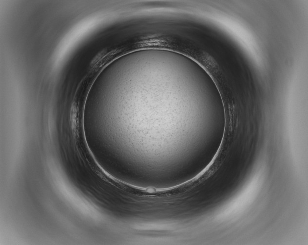 X0000115381438200911101257