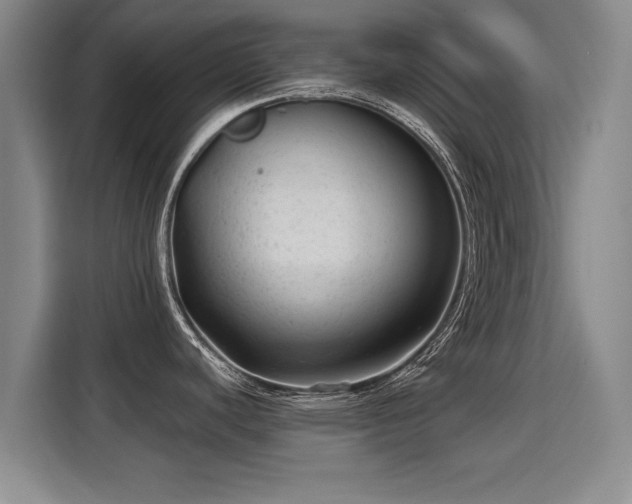 X0000115381440200911101257