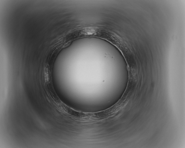 X0000115381442200911101257