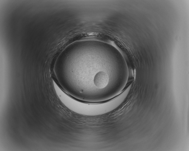 X0000115381443200911101257