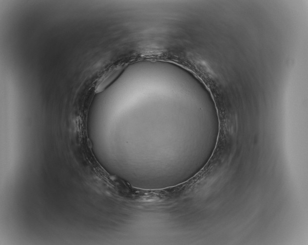 X0000115381445200911101257