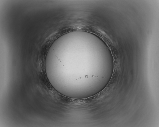 X0000115381446200911101257