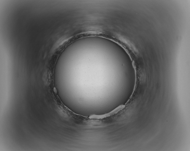 X0000115381448200911101257