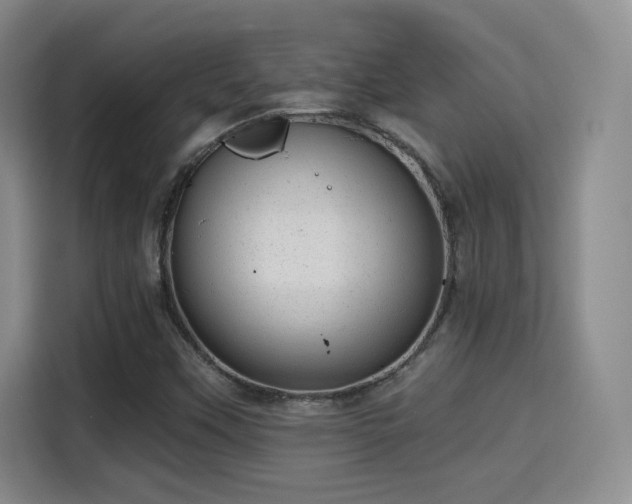 X0000115381451200911101257