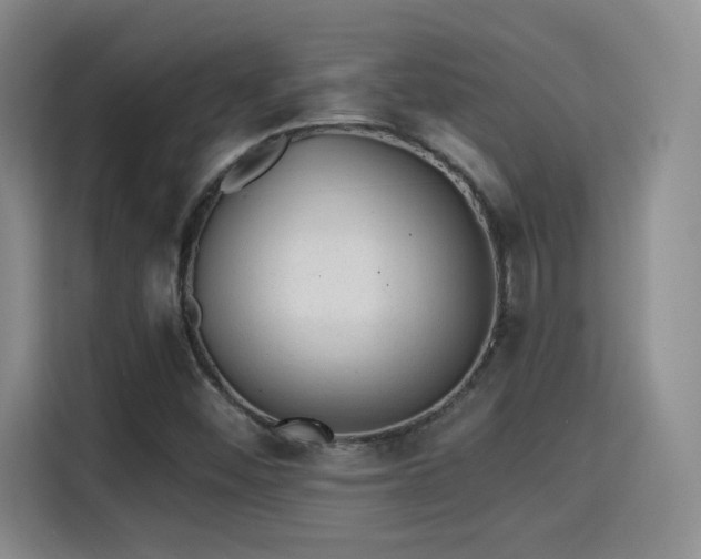 X0000115381452200911101257
