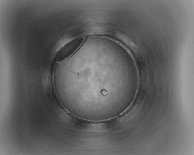 X0000115381453200911101256